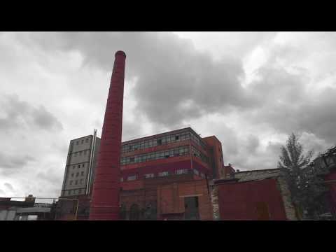 Gamma Festival 2019 - Line Up