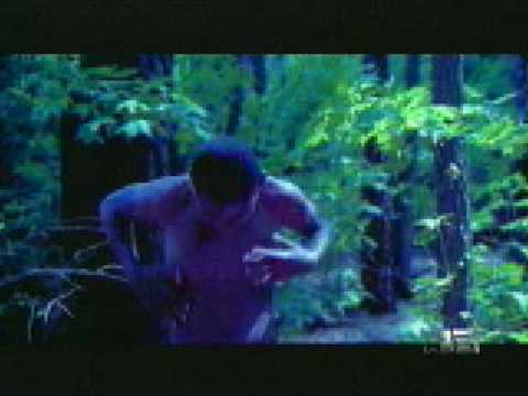 download lagu mp3 mp4 Humanreck, download mp3 Humanreck free download mp3, download mp3 Humanreck