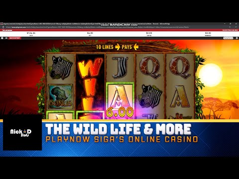 Playnow Casino
