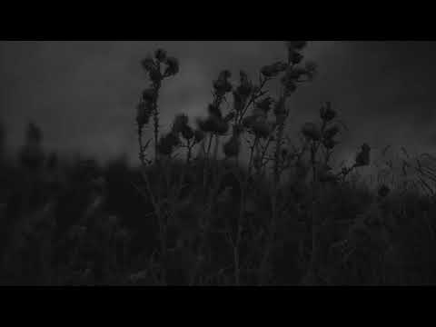 goodbye - apparat feat. soap&skin (s l o w e d)