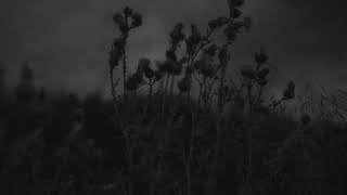 goodbye - apparat feat. soap&amp;skin (s l o w e d)