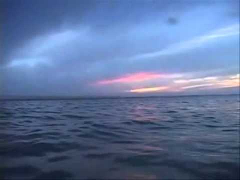 Samba De Verão video