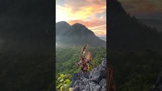 Download lagu Indahnya Hutan Kalimantan dan Instrumental Sape Myself mp3 Download lagu Indahnya Hutan Kalimantan dan Instrumental Sape Myself mp3