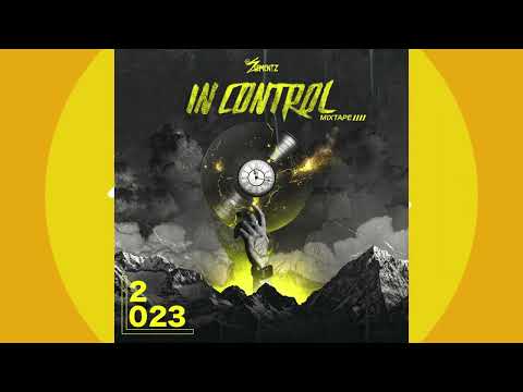 IN CONTROL MIXTAPE 2023 | DANCEHALL REMIX MIXTAPE | DANCEHALL & HIP HOP REMIXES 2024 | BASHMENT MIX