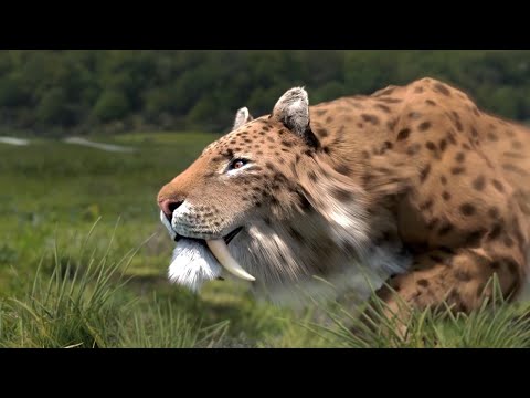 Prehistoric Mammals 🎵