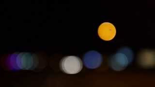 Dances With Color - [Junior Boys - Parallel Lines]