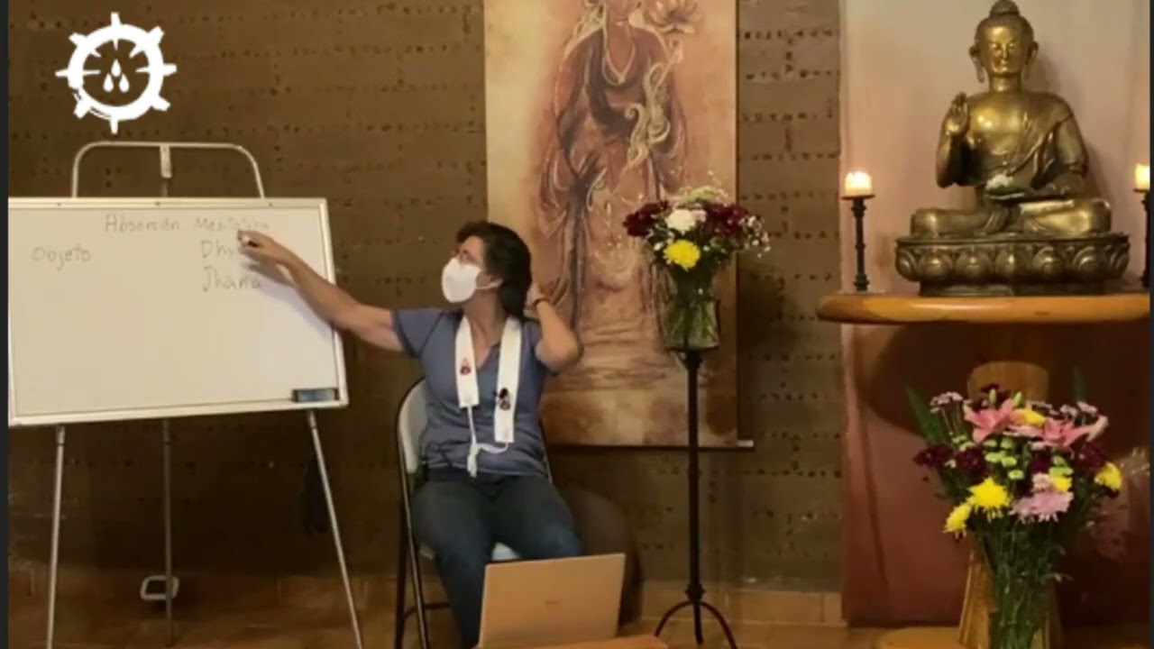 LA EXPERIENCIA DE LA ABSORCIÓN MEDITATIVA