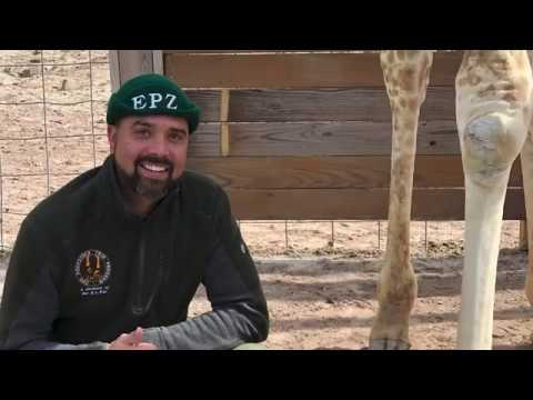 Farrier Steve Foxworth Visits EPZ Giraffes