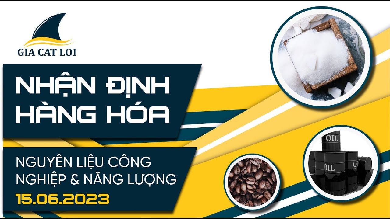 Nhận Định Thị Trường Năng Lượng & Nguyên Liệu Công Nghiệp Ngày 15/06/2023