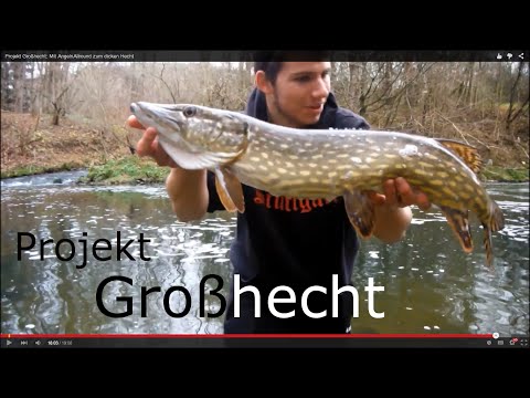 Projekt Großhecht: Der Traum vom dicken Hecht