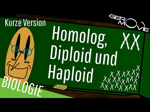 ► Homolog, Diploid und Haploid - verständlich erklärt | Kurze Version
