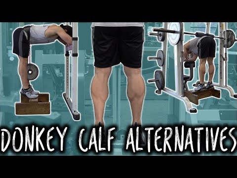 download lagu mp3 mp4 Donkey Calf Raise Alternative, download lagu Donkey Calf Raise Alternative gratis, unduh video klip Donkey Calf Raise Alternative