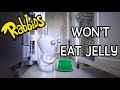 Rabbids Won T Eat Jelly