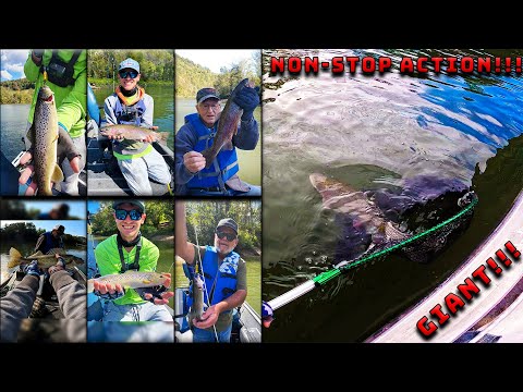 SO MANY FISH CATCHES!!! (Wolf Creek Dam) Super Fun Day!