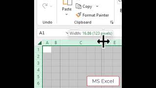 MS Excel Resizing Rows and Columns