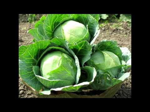 James Acaster is 'cabadged' for the first time - Classic Scrapes