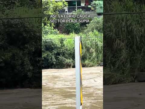 ASÍ VA EL RÍO CAUCA SECTOR PEAJE SUPIA CALDAS.