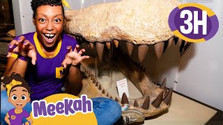 Can Meekah Find Her Dinosaur Friends? | Educational Videos for Kids | Blippi and Meekah Kids TV