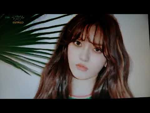 AOA Comeback Next week ♡♡