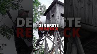 Starker Gamsbock trickst uns aus 🏔️ von ⁨@copterpro10⁩