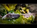 இறகை போலே Iragai Pole Naan Mahaan Alla Tamil Whatsapp Status