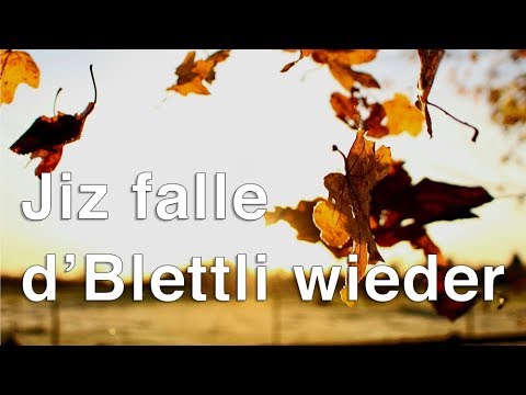 download lagu mp3 mp4 Jetzt Falled D Blettli Wieder, download lagu Jetzt Falled D Blettli Wieder gratis, unduh video klip Jetzt Falled D Blettli Wieder