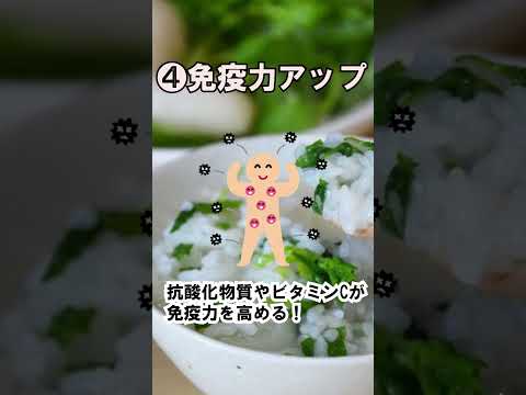 交流文化学科 七草粥#shorts #春の七草＃正月明け＃胃もたれ＃早春＃無病息災