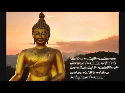 กฏแห่งกรรม ชุดนารีผล กฏแห่งกรรม ชุดนารีผล