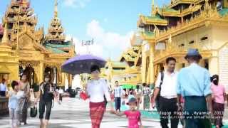 Shwedagon Pagoda, Yangon / Myanmar 2013 ミャンマー ヤンゴンのシュエダゴン パゴダ
