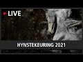 HYNSTEKEURING 2021