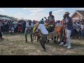 Rabotšo Le Semanyane Matšekha For 200 Years Of Thaba Bosiu