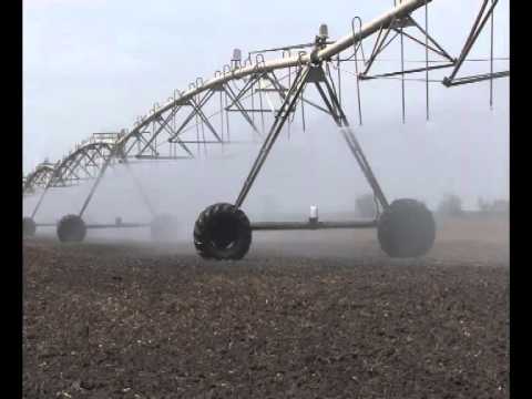 POSTRNA SETVA U LUKIĆEVU