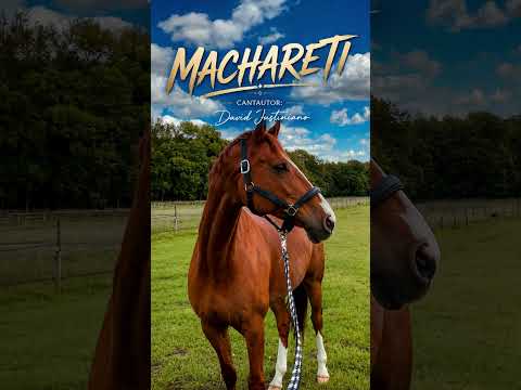 Machareti - David Justiniano