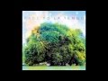 Yo La Tengo - Is That Enough
