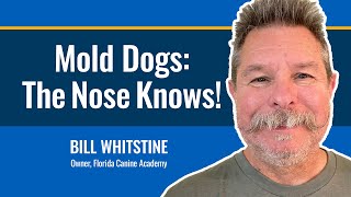 How Trained Dogs Find Hidden Mold (Before It's Too Late) with Bill Whitstine