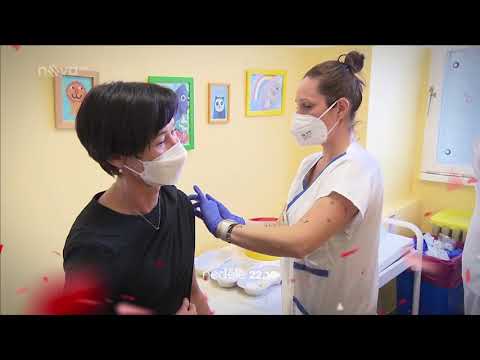 Střepiny | 24. 1. 2021