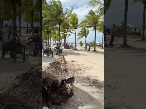 Bonito lugar para disfrutar en familia tela Atlántida 🌊🏖️🐚🇭🇳
