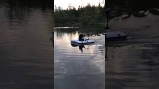 Elektromotor 55 Lbs Foxtail