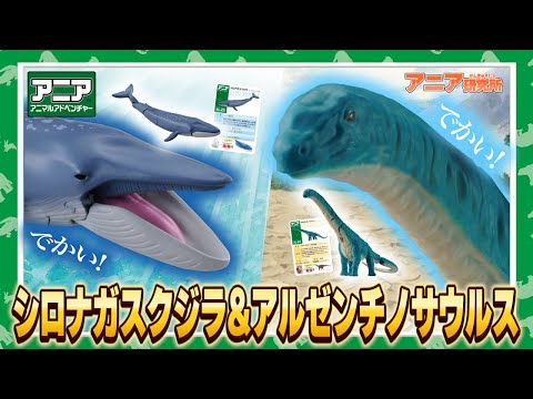 【アニア研究所】#3「大きすぎる！？シロナガスクジラ＆アルゼンチノサウルス」