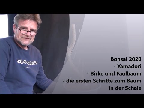 Bonsai 2020-56 - Yamadori - Birke und Faulbaum - die ersten Schritte zum Baum in der Schale