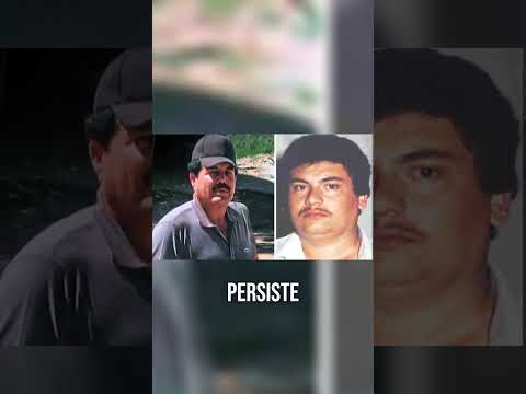 ¿Cae "El Guano"? Operativo masivo sacude la sierra de Durango. 🚨