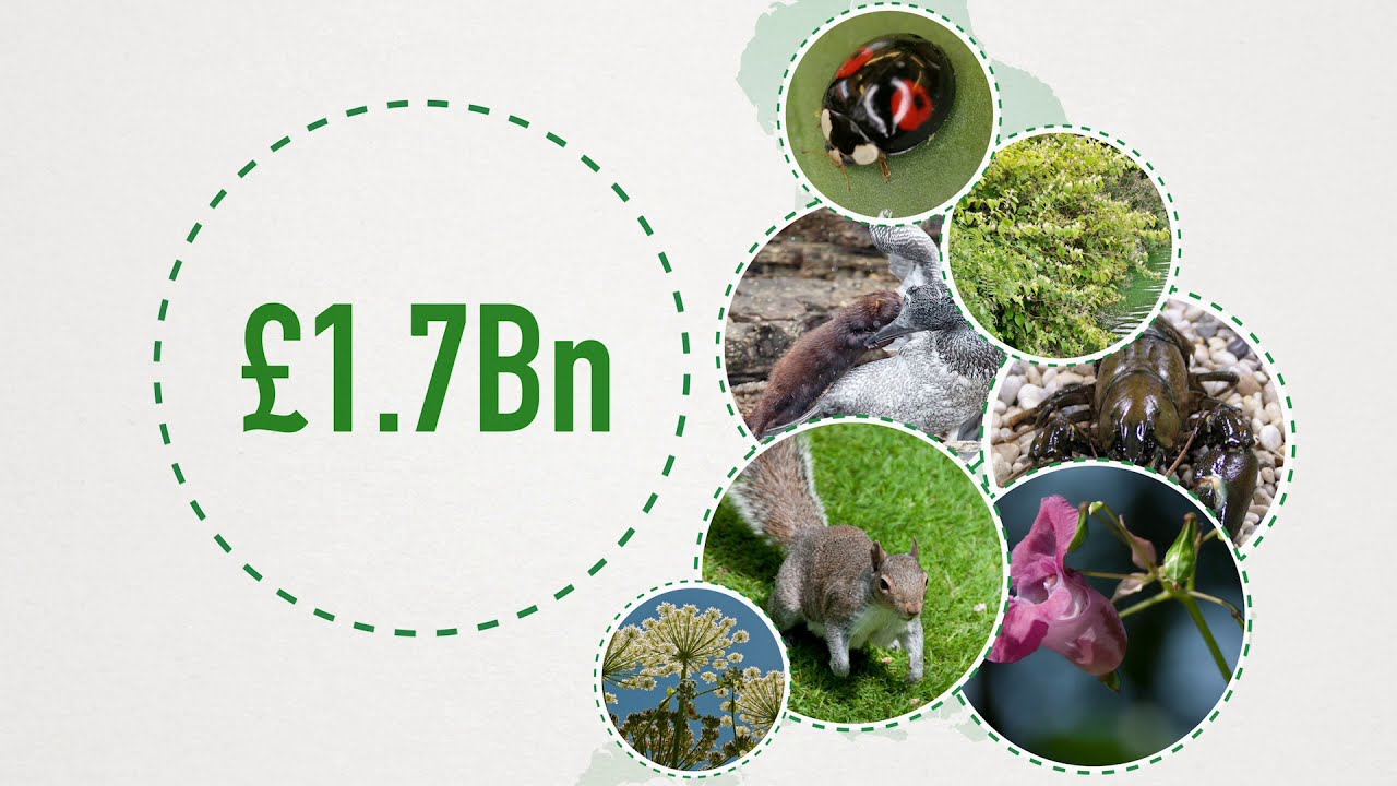 Managing Invasive Non-native Species: Protecting British Waters and Wildlife