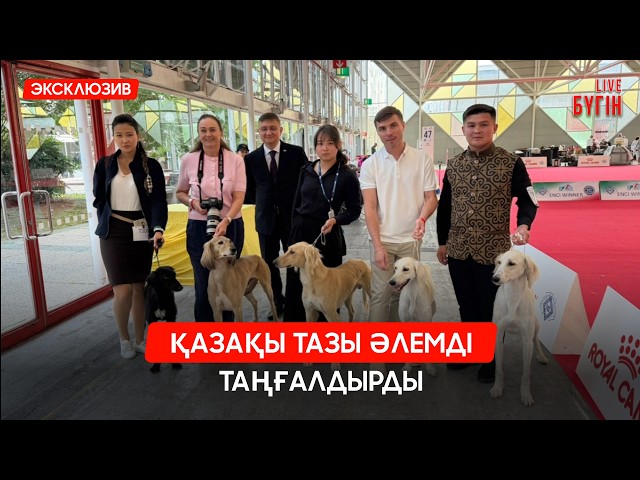 Дәрі жасауды 100 есе жылдамдататын жасанды интеллект