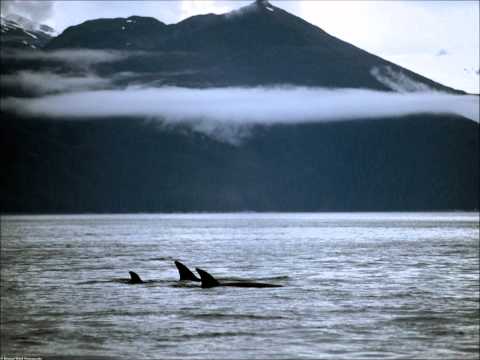 Kryptic Minds & Alys Be - Brief Passing