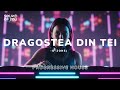 O ZONE DRAGOSTEA DIN TEI REMIX PROGRESSIVE HOUSE MAIHI MAIAHU MAIAHO MAIAHAHA