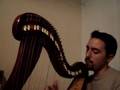 The Trees They Grow High - Alan Stivell (cover ...