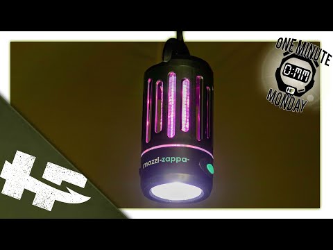 One Minute Monday - Wolf Mozzi Zapper