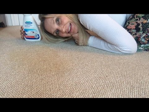 How to remove cat vomit stains from a carpet!