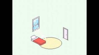 Florist - Dark Light