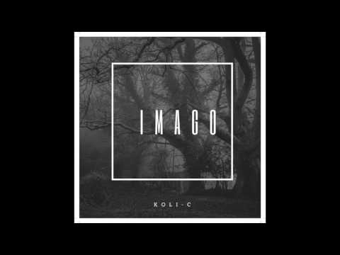 Koli-C - Koli Valvoo